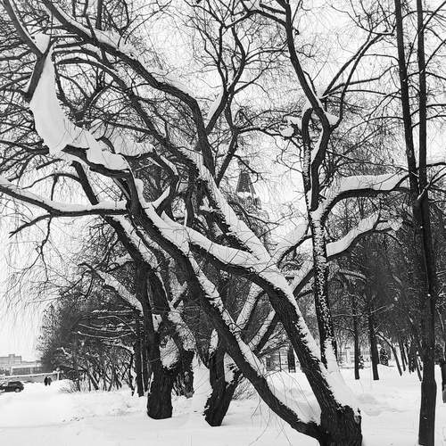 Photo #13135542