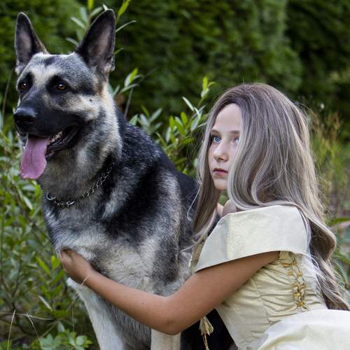 Photo #13135763
