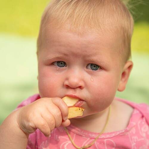 Photo #13135877
