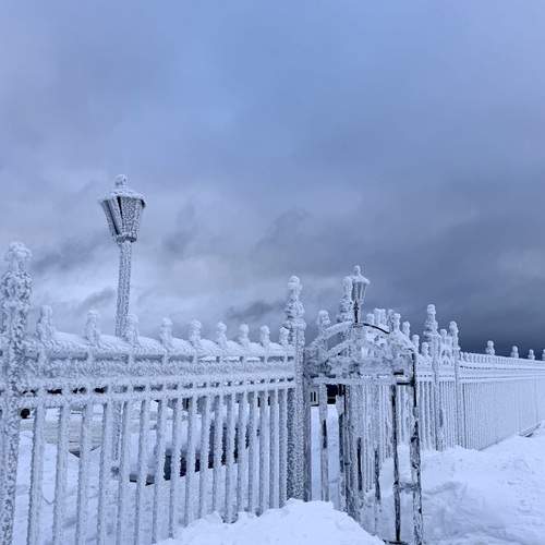Photo #13135908