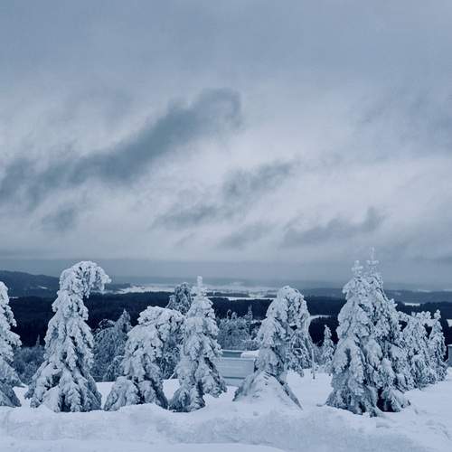 Photo #13135909