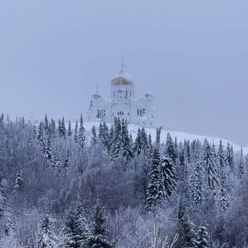 Photo #13135910