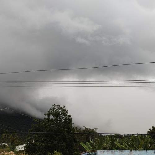 Photo #13136056