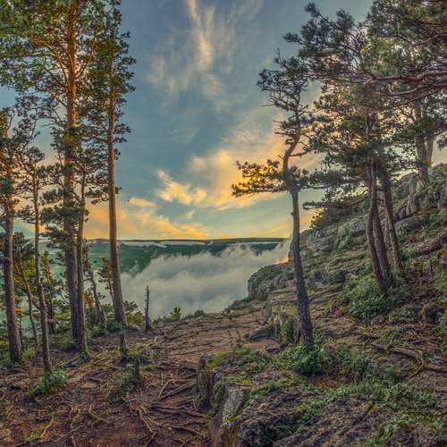 Photo #13136105