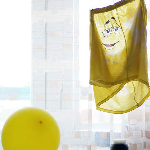 Photo #13136166