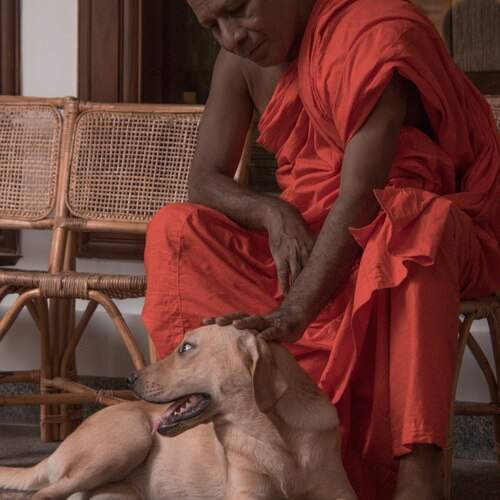 Photo #13136346