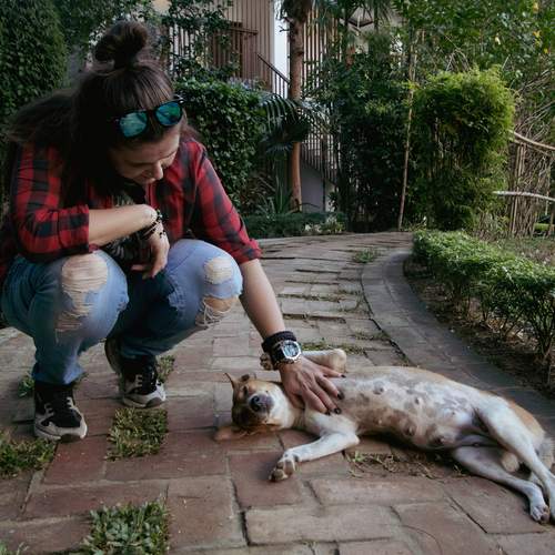 Photo #13136378