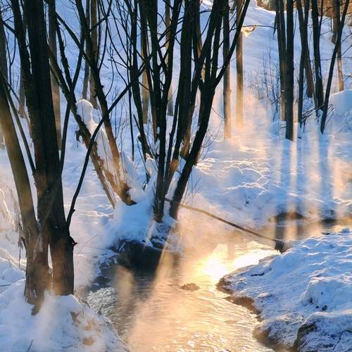 Photo #13136458