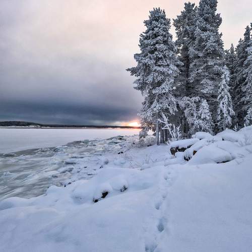 Photo #13136590