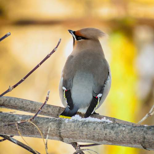 Photo #13137140