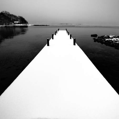 Фотография #13137158