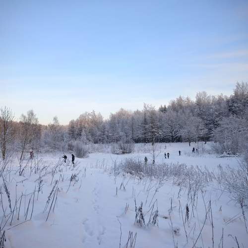 Photo #13137253