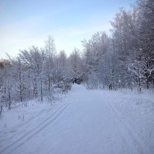 Photo #13137254