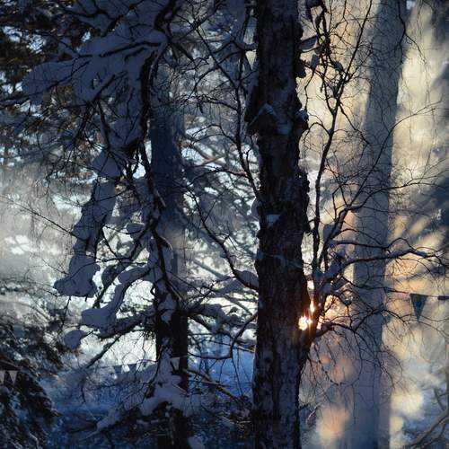 Photo #13137418