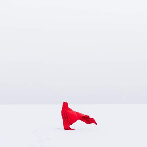 Фотография #13137510