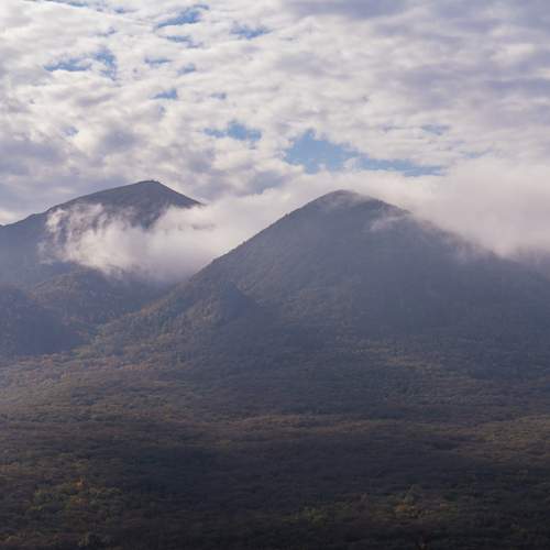 Photo #13137636