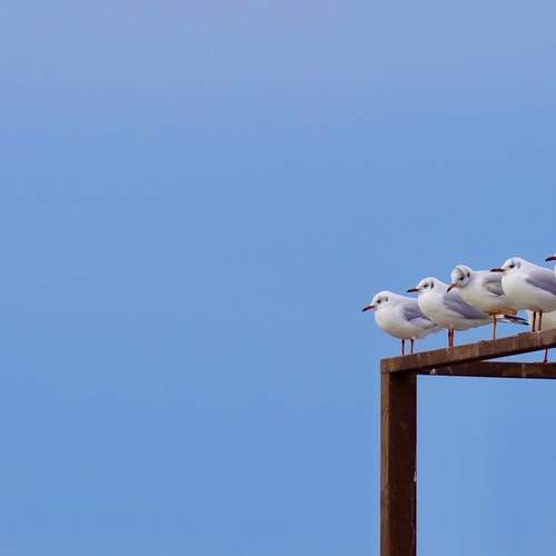 Photo #13137798