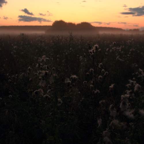 Photo #13138074