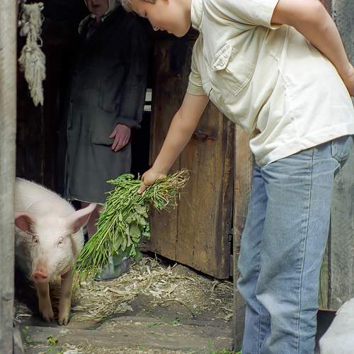 Photo #13138106