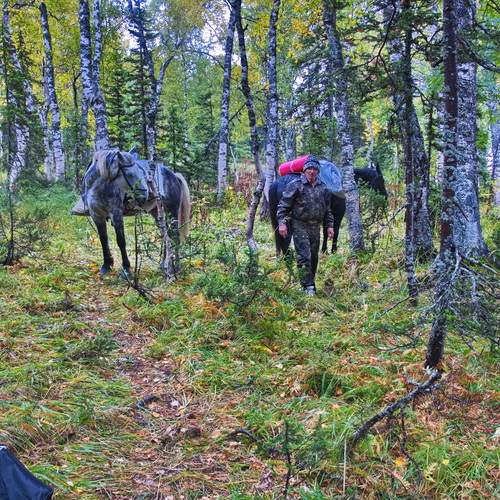 Photo #13138138