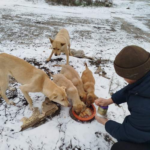 Photo #13138152