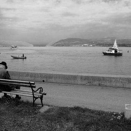 Photo #13138208