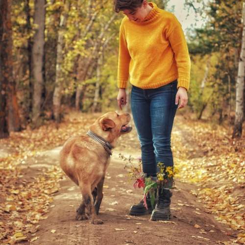Photo #13138297