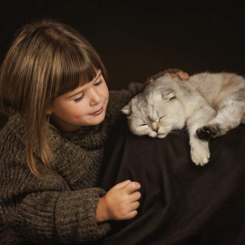 Фотография #13138338