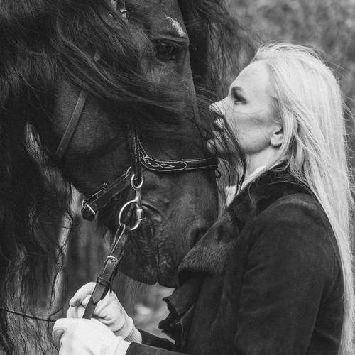 Photo #13138503