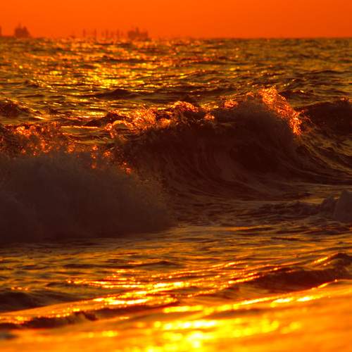 Photo #13138562