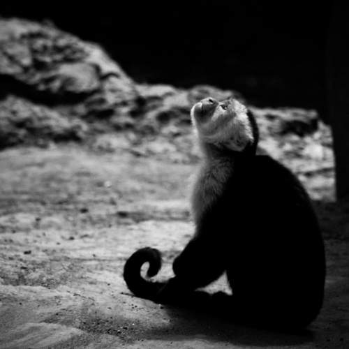 Photo #13138565