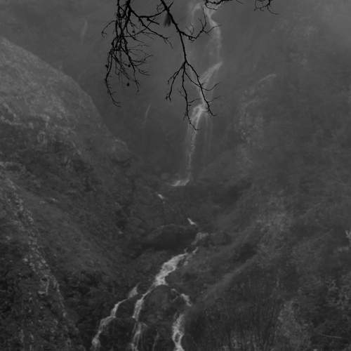 Photo #13138583