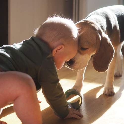Photo #13138585