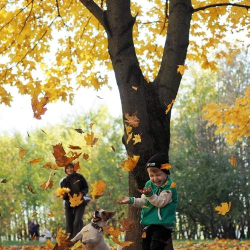Photo #13138601
