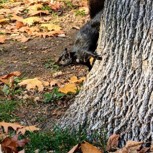 Photo #13138616