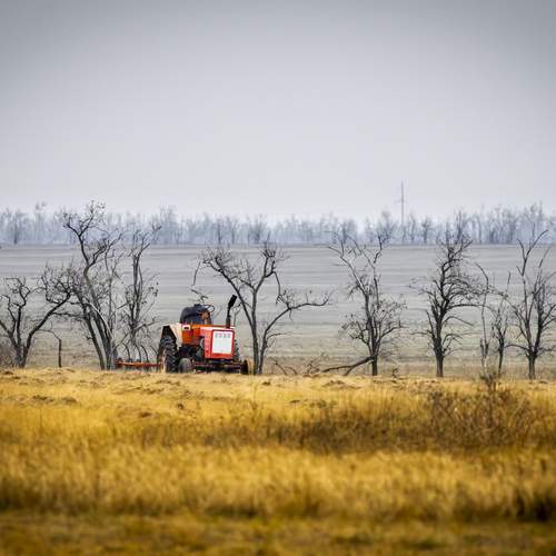 Photo #13138684