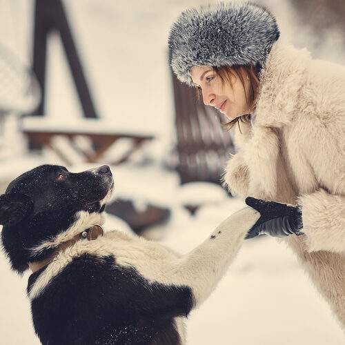 Photo #13138695