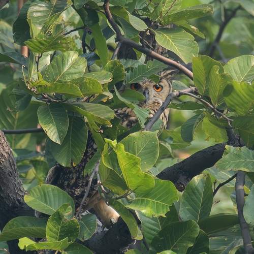 Photo #13138834