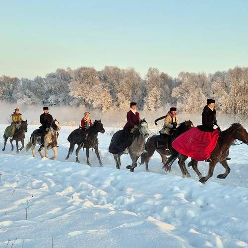 Photo #13138890
