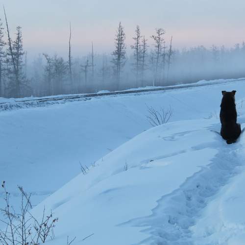 Photo #13138965