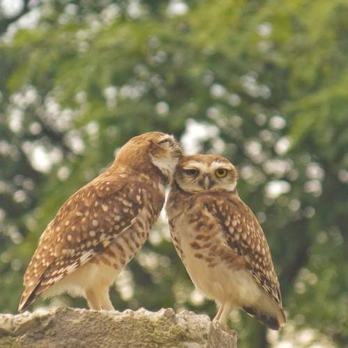 Photo #13139061