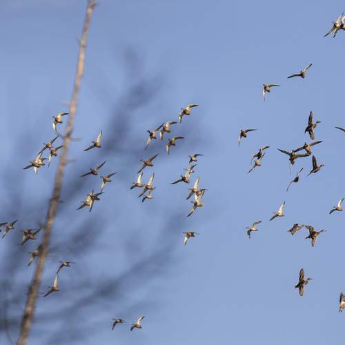 Photo #13139197