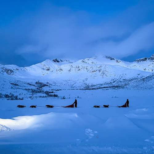 Photo #13139239