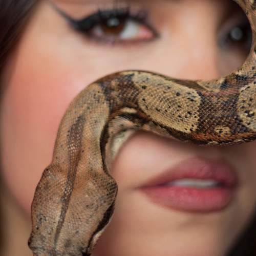 Photo #13139242