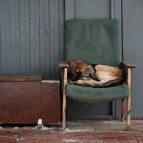 Photo #13139245