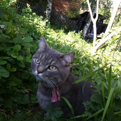 Photo #13139482