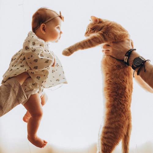 Photo #13139525