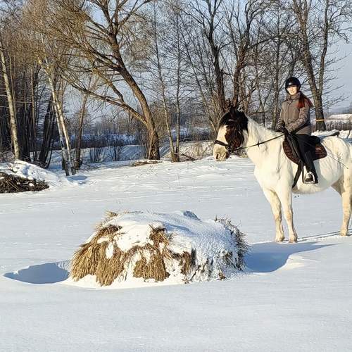 Фотография #13139558