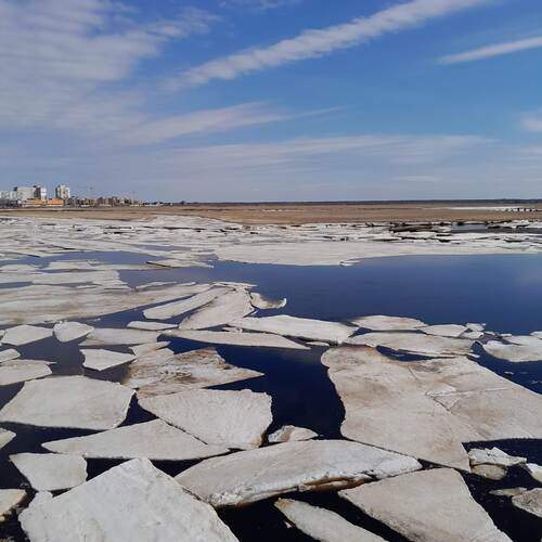 Photo #13139629