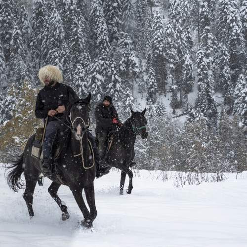 Photo #13139749